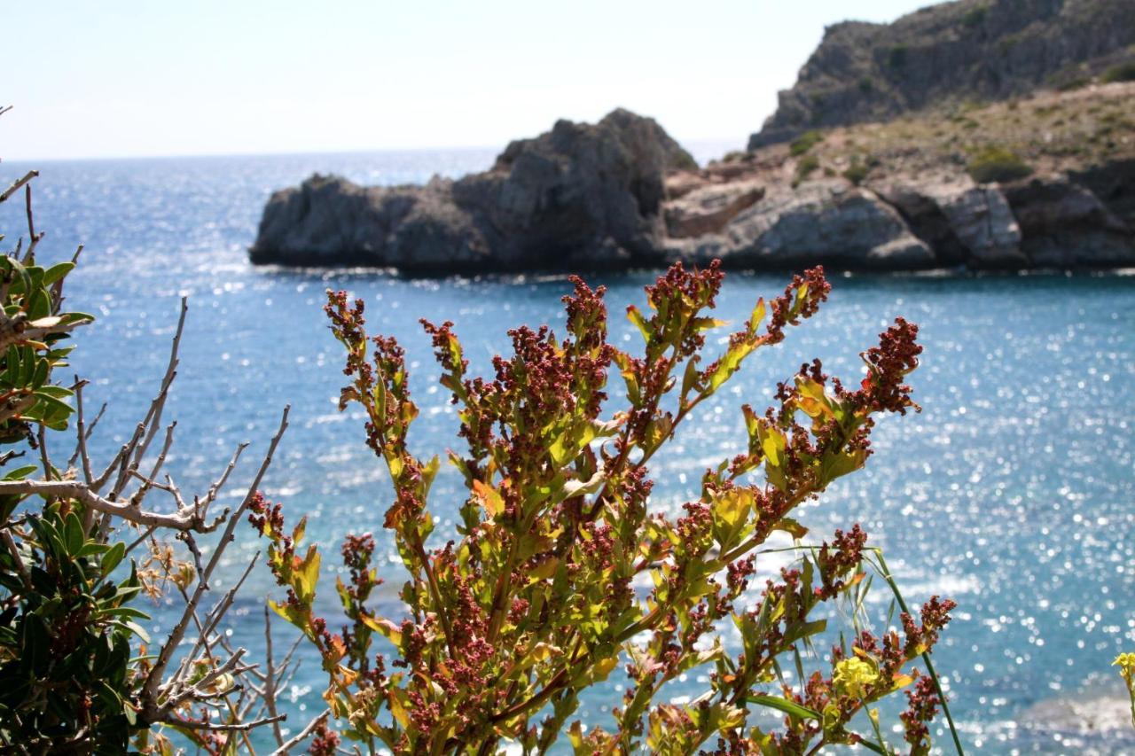 Agios Pavlos Hotel Zewnętrze zdjęcie